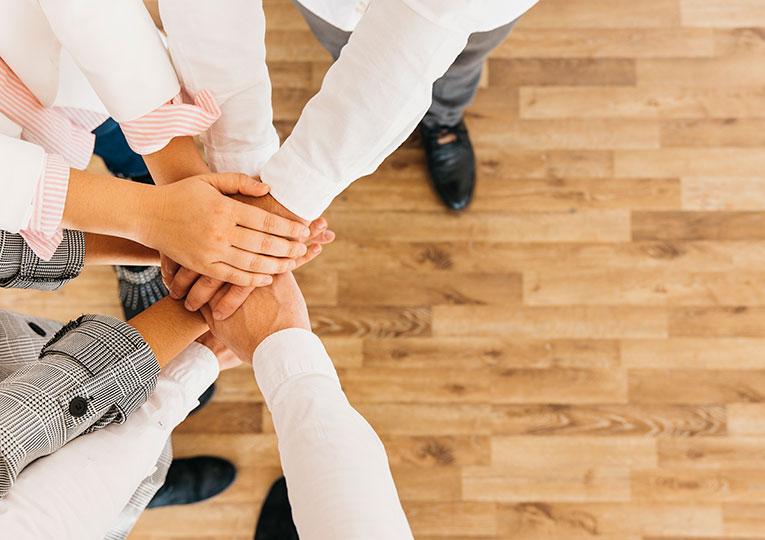 Familia partenerilor Holisun